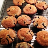 Blueberry Muffins