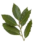 bay_leaves