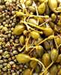 capers