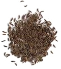 caraway_seed