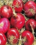 red_onions