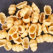 Gnoochi1