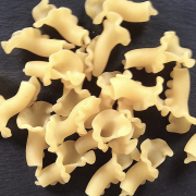 campanelle-1