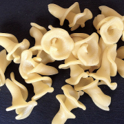 gigli-1