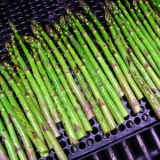 Grilled Asperagus