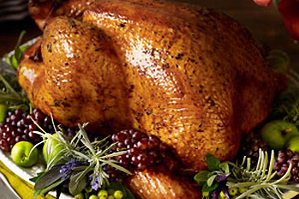 everything you need to know about roasting turkey