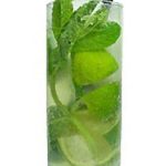 mohito