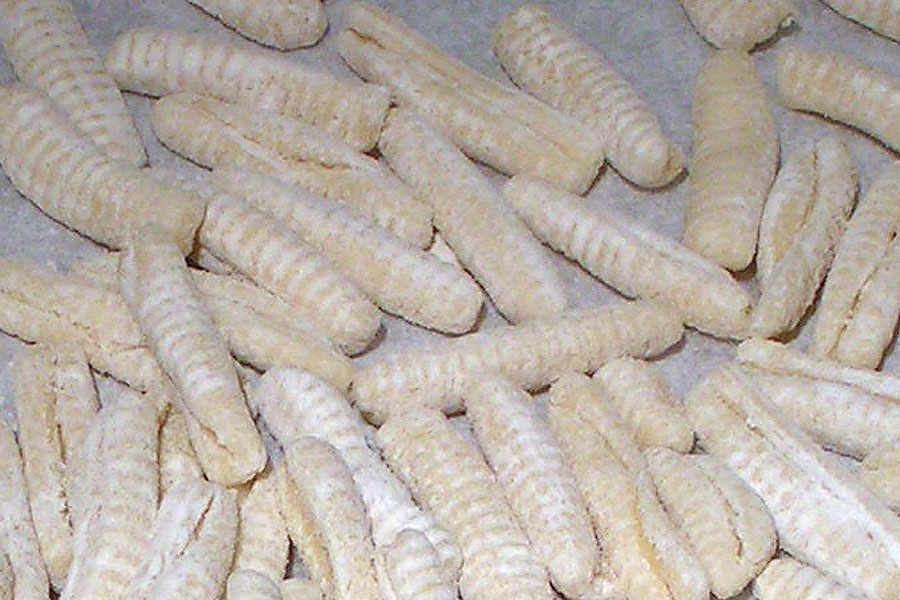 cavatelli