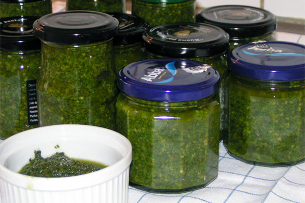 pesto in bulk